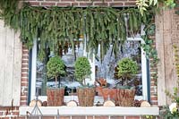 Window decorated with spruce trees in winter, Picea 