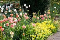 Primula veris, Tulipa, Narcissus poeticus Recurvus 