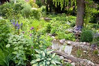 Stream and pond in the garden, Salix babylonica, Rosa Veilchenblau, Hosta June, Kirengeshoma palmata 