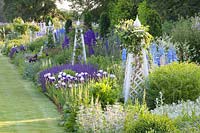 Bed with Delphinium Summer Skies, Delphinium Camelot, Delphinium King Arthur, Salvia nemorosa Mainacht, Iris barbata Braithwaite, Eryngium giganteum, Clematis 