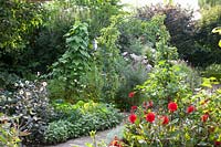 Vegetable garden with Salvia officinalis, Dahlia Garden Miracle, Dahlia Bishop of Dover, Phaseolus vulgaris, Pyrus communis Kruidenierspeer, Ribes rubrum Jonkheer van Tets 