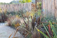 New Zealand flax and grasses, Phormium, Stipa tenuissima, The Maori Garden at Laquenexy 