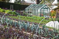 Vegetable garden in late autumn, leeks, beetroot, Allium porrum Giant Winter, Beta vulgaris Solo F1 