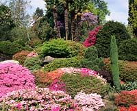 Leonardslee Gardens 