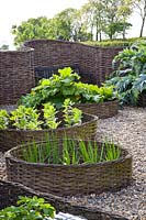 Vegetable garden with willow fence 