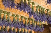 Decoration, lavender bundle under blanket 