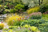 Pond with shore plants 