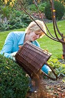 Woman pours leaves onto flowerbeds as mulch 