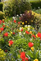 Bed with bulbous plants and perennials 