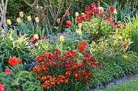 Bed with annuals, perennials and tulips 