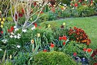 Beds with bulbous plants and perennials 