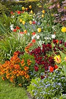 Bed with annuals, perennials and bulbous plants 