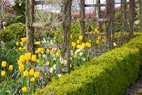 Pergola with hedge 