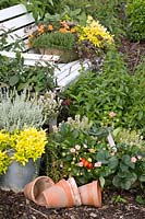 Herbs in pots 