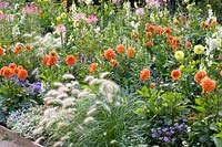 Bed with dahlias, grasses and annuals 