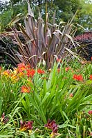 Bed with New Zealand flax 