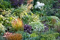 Perennials as ground cover 