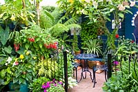 Terrace with exotic plants 