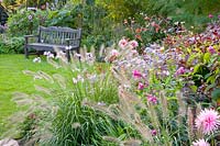 September bed with perennials, dahlias and grasses 