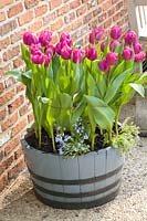 Tulips in a wooden bucket 