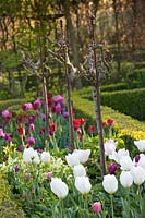 Formal garden with tulips 