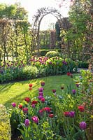 Garden with tulips 