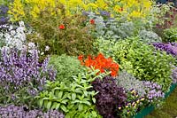 View of herb garden 