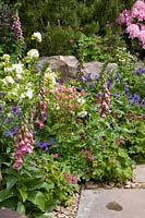 Planting in the shade 