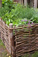 Herb garden with wicker fence 