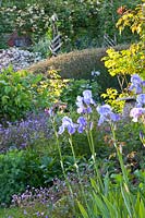 Cottage garden with irises 