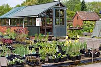Stillife Eastgrove Cottage Garden Nursery 