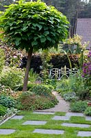 Planting strip in front of beech hedge and catalpa tree, Fagus sylvatica Atropurpurea, Catalpa bignonioides 