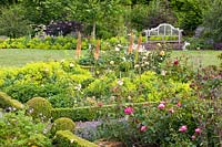 Bed with roses and perennials 