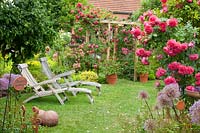 Country house garden with rose Rosarium Uetersen 