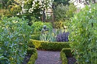 Vegetable garden 