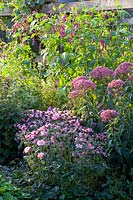 Perennial bed 