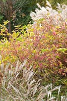 Spindle bush 