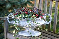 Vase with berries and ivy, Gaultheria, Hedera 