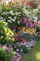 Bed with annuals and perennials 