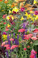 Bed with yarrow, daylily Corky and sage Caradonna, Achillea, Hemerocallis Corky, Salvia nemorosa Caradonna 