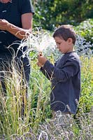 Child collecting seeds 