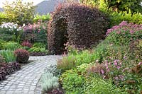 Garden in purple tones with copper beech arbor 