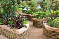 Vegetable garden in raised beds 