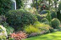 Front garden with ornamental foliage plants 