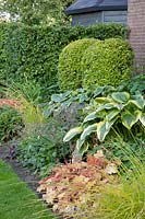 Front garden with ornamental foliage plants 