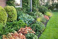 Front garden with ornamental foliage plants 