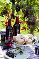 ENGLISH VERSION;Elderberry preserves and muffins, elderberry preserves and elderberry muffins,Sambucus nigra 