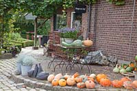 Terrace decorated with pumpkins 