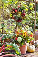 Autumnal still life in the Potager 