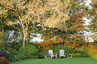 Garden view with ash-leaved maple, Acer negundo Flamingo 